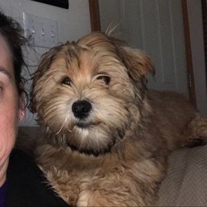 Meet your Posher, Susan